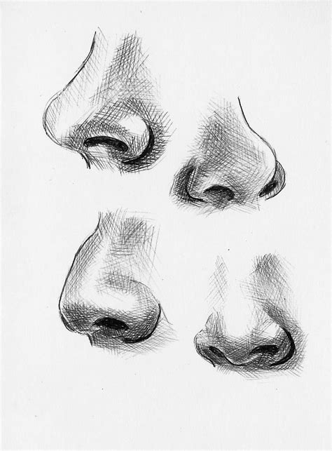 Nose - Drawing Skill