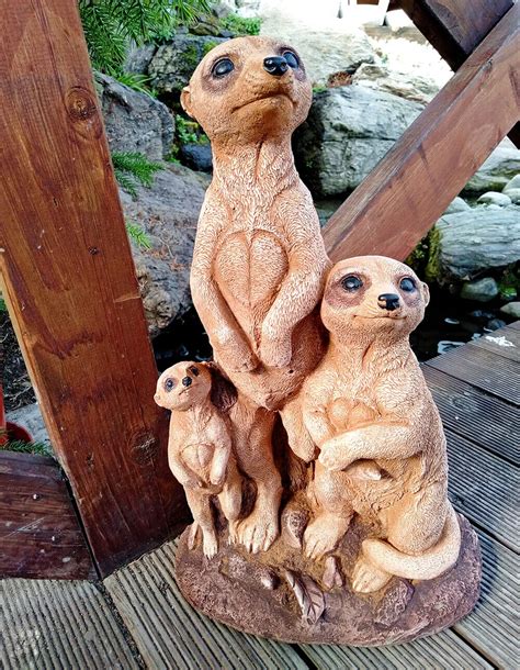 meerkat family mosgiel garden place