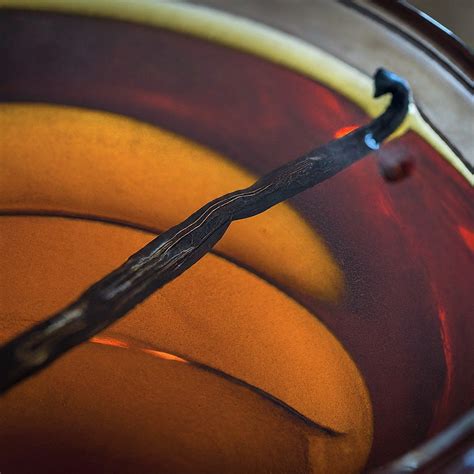 Blogs – New York Vanilla