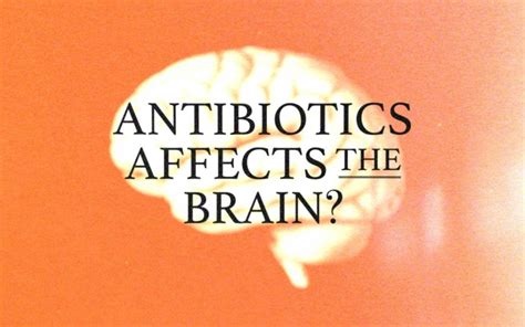 Antibiotics Affects your Brain! | OM-X NUTRITION