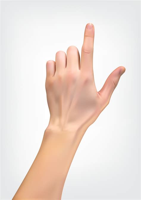 realistic hand pointing   vector art  vecteezy