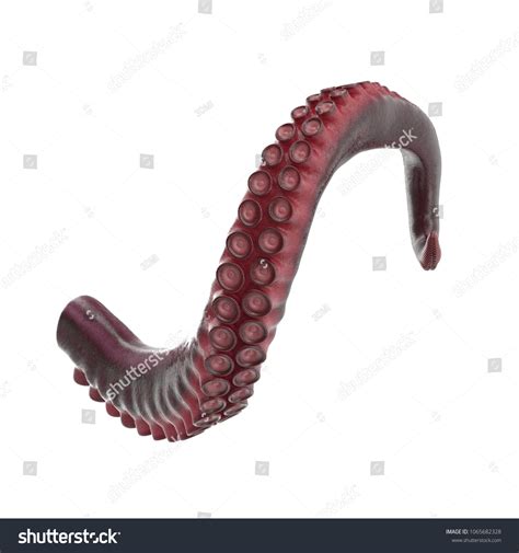 4,894 3d tentacles 图片、库存照片和矢量图 | Shutterstock
