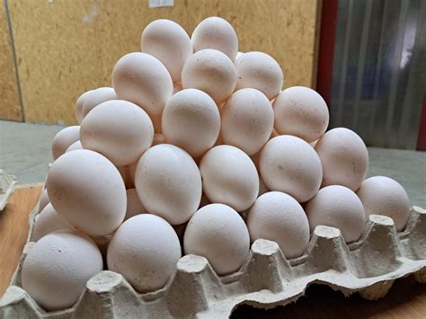 Яйцо куринное опт, яйце куряче розн.: 20 грн. - Продукти харчування ...