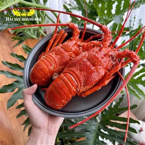 GỌI TÊN 3 LOẠI TÔM HÙM NỔI TIẾNG “ĐÁNG ĐỒNG TIỀN BÁT GẠO”