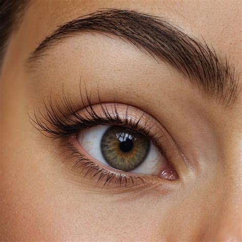 Hybrid Tint Brow Course – Elizabeth Sands Beauty School