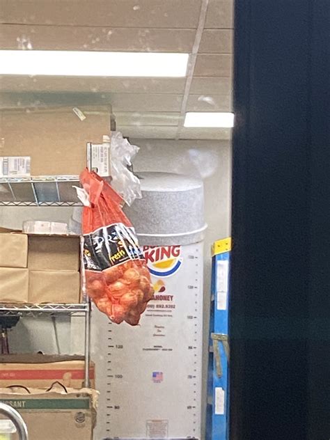 The Untold Story Behind Aubrey Keys' OnlyFans - Truth or Fiction