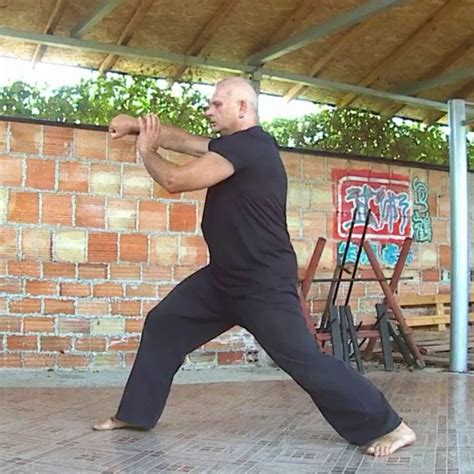 Tiger Fist lesson 10 the Inner Part of the Fist as a Method - Etsy