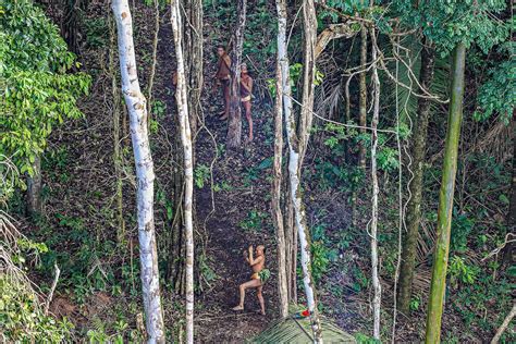 Uncontacted Tribe In Amazon Amazon Tribe Amazon Rainforest Tribe The