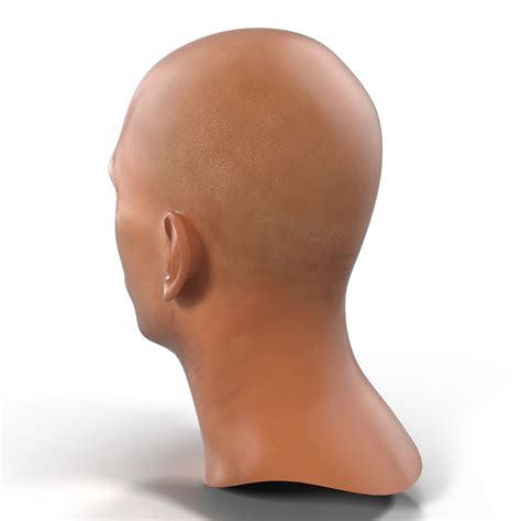 Cabeza masculina mediterranea Modelo 3D $39 - .3ds .obj .max .ma .c4d ...