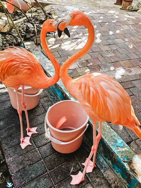 Is Curacao Safe? | 2025 Travelers Guide