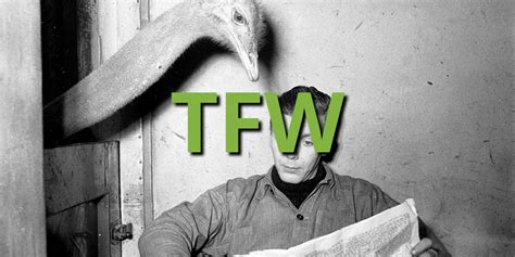 tfw meaning slangorg