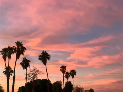 Yuma, AZ Weather Forecast: 10-Day Outlook and Temperature Predictions 8