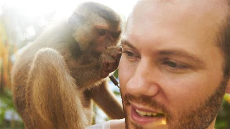 49 Cases Of Monkey Fever, 2 Deaths Reported In Karnataka, Here’s ...