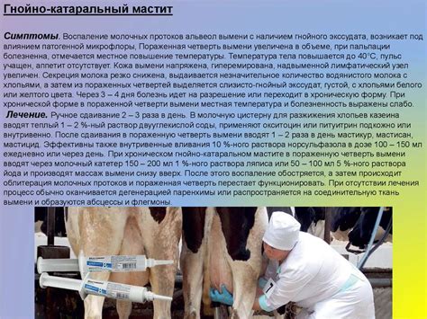 Маститы. Классификация маститов - презентация онлайн