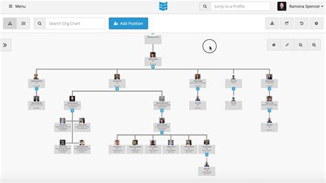 usar team org chart