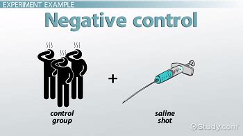 negative control group definition examples lesson studycom