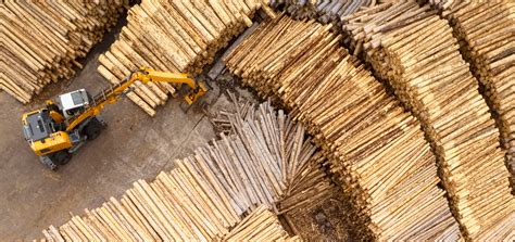 logging industry  png