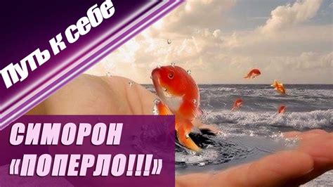 Симорон. Симоронский ритуал "ПОПЕРЛО" | Путь к себе - YouTube