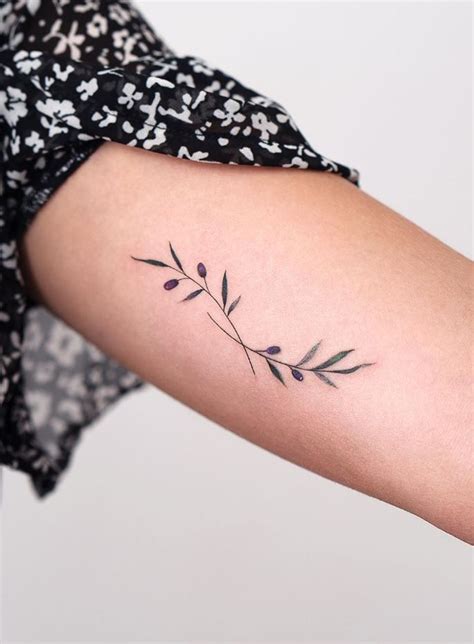 Ramo De Oliveira Tattoo - Significado Da Tatuagem De Galho De Oliveira Tatuagem Tribal: 20