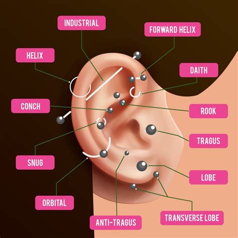Ear piercing names | Piercing chart, Ear piercings, Ear piercings chart