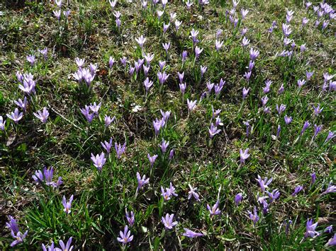 Bylinky - Marcela Kořínková