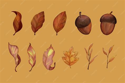 premium vector hand drawn watercolor botanical floral illustration