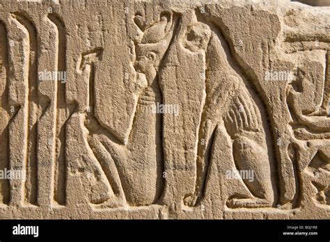 Egyptian Cat Hieroglyphics