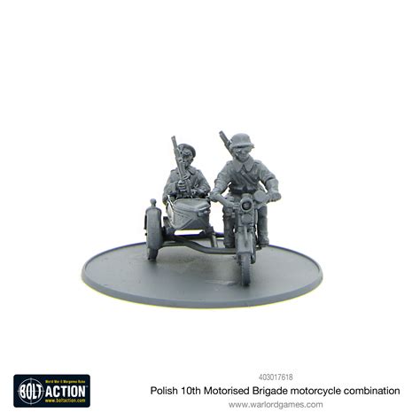 Bolt Action Polish Resistence 3