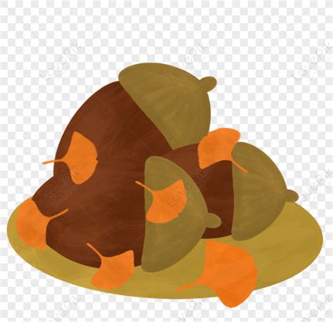 pinecone pine nuts pine cone leaves nuts png image