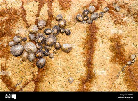 Praia da ursa, portugal hi-res stock photography and images - Alamy