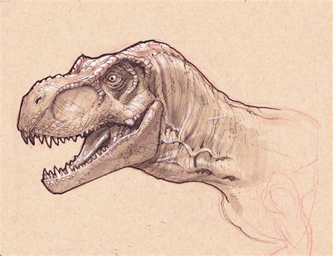 Dinosaur Head Drawing at GetDrawings | Free download