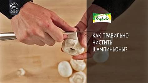 Как правильно чистить шампиньоны - Советы от Bonduelle - YouTube