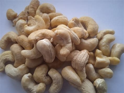 Beneficios de los anarcados que no te imaginabas - La Torreta Informativa