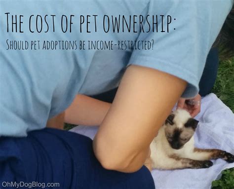 How much does it cost to adopt a cat determines pet ownership 15