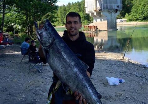 van gilder   man castanetnet