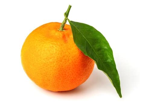 What does tangerine orange look like?