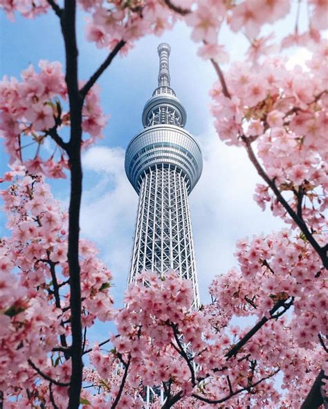 tokyo skytree visiting tokyos tallest tower eilbi