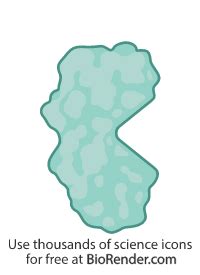 domain triangular binding site icons symbols images biorender