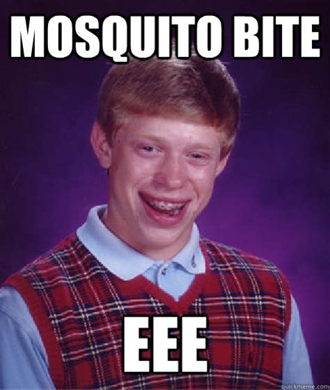 mosquito bite eee - Bad Luck Brian - quickmeme