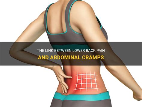 The Link Between Lower Back Pain And Abdominal Cramps | MedShun