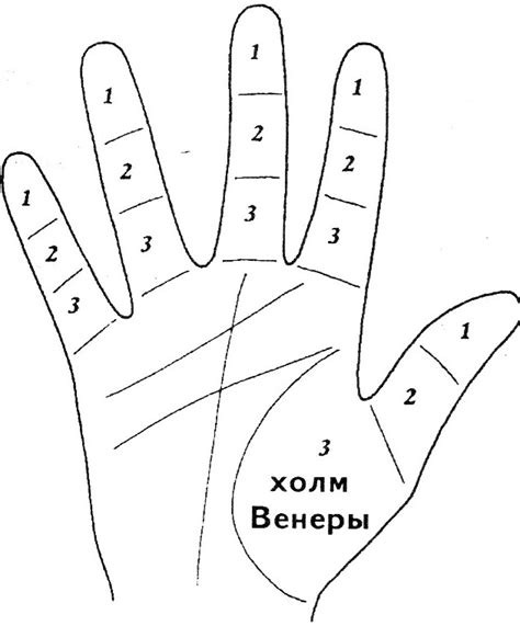 Большой палец
