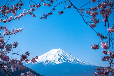 21 Things You Didn't Know About Japan | DAD.info