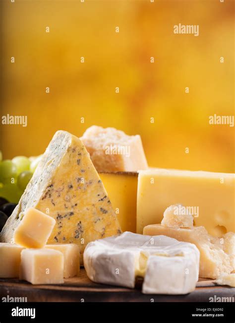 types  cheese  life stock photo alamy