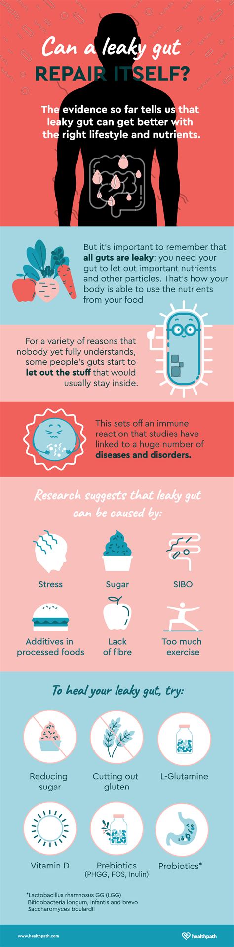 Can you repair leaky gut or does it repair itself?