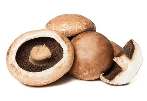 Portobello Paddestoel Online Kopen - groentebroer.be