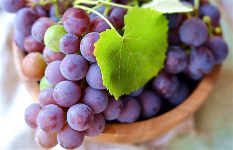 [100+] Purple Grapes Wallpapers | Wallpapers.com