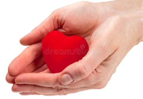 Heart symbol in hands stock image. Image of doctor, handful - 19132577