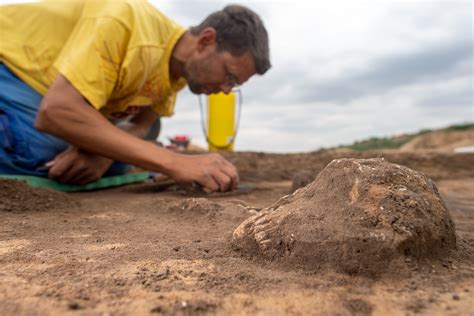 Lefejezett nőket és gyermekeket találtak egy ősi sírban