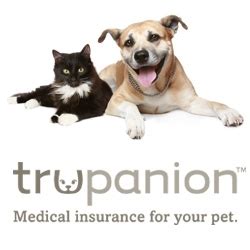 Trupanion Pet Insurance Expands to Connecticut - PR.com