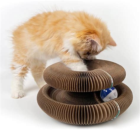 Magic Organ Board Toy for Kitten and Cats - Pets Park PK – PetsPark.pk